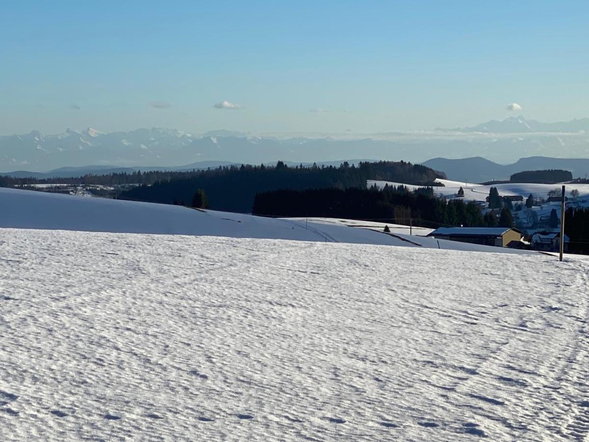 Appartement Bergwaerts Rickenbach  المظهر الخارجي الصورة