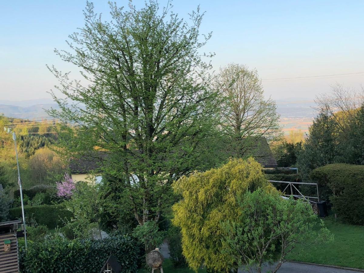 Appartement Bergwaerts Rickenbach  المظهر الخارجي الصورة